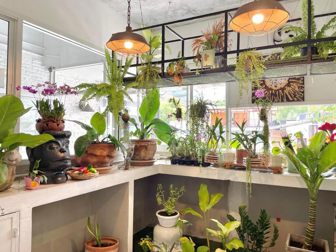 Cafe Home Τσιάνγκ Μάι Εξωτερικό φωτογραφία